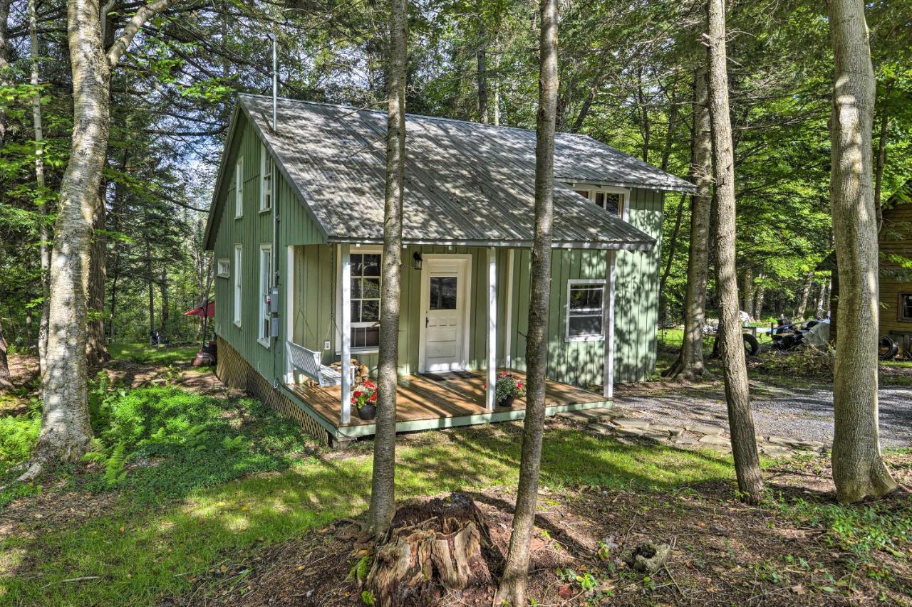 Adirondacks Cabin With Fire Pit On Otter Lake! Forestport المظهر الخارجي الصورة